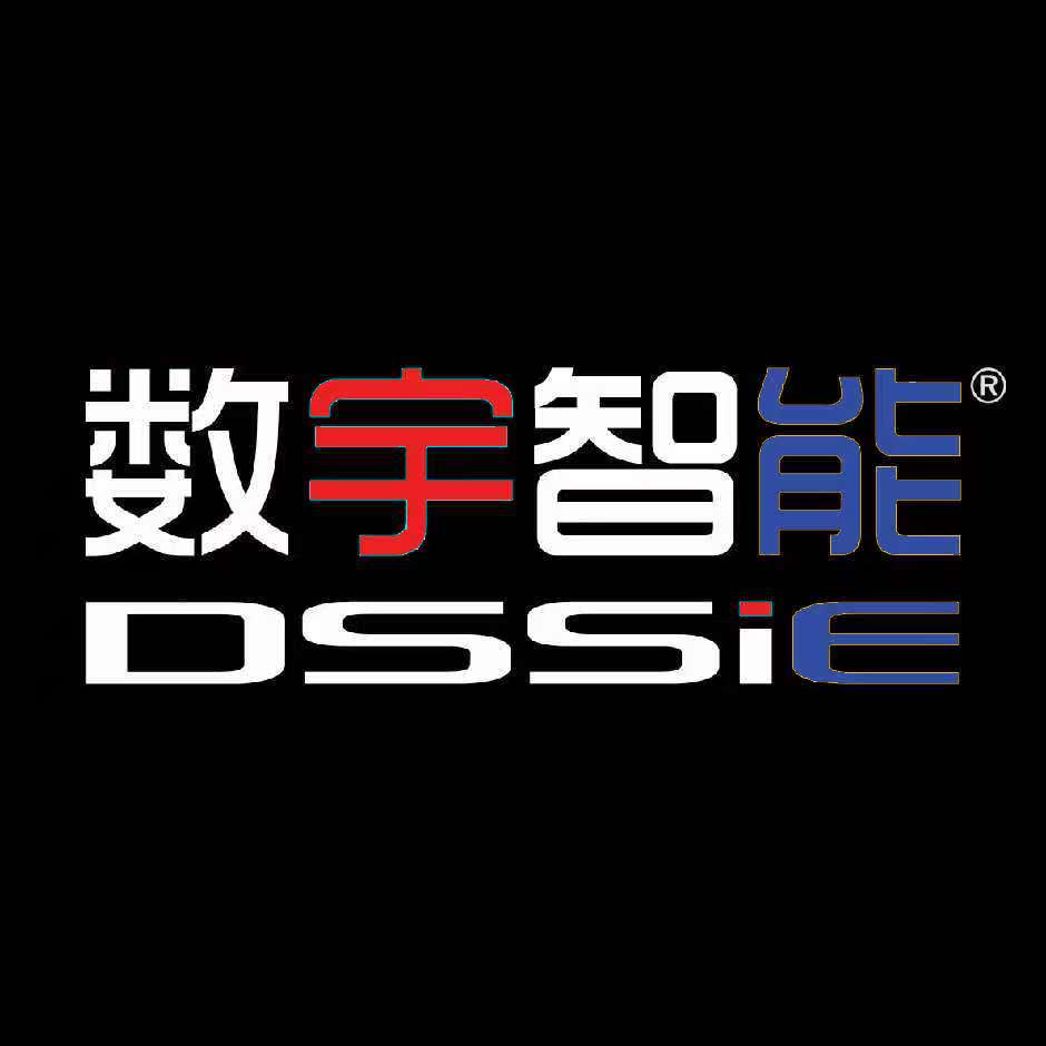 DSSiE LOGO